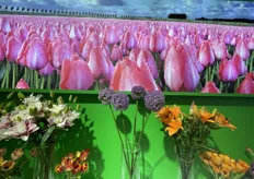 Display with a focus on Dutch import flowers.